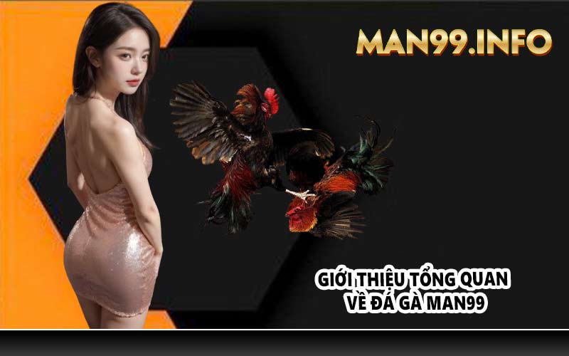 Giới thiệu tổng quan về đá gà Man99