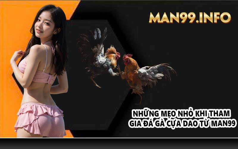 Những mẹo nhỏ khi tham gia đá gà cựa dao từ MAN99